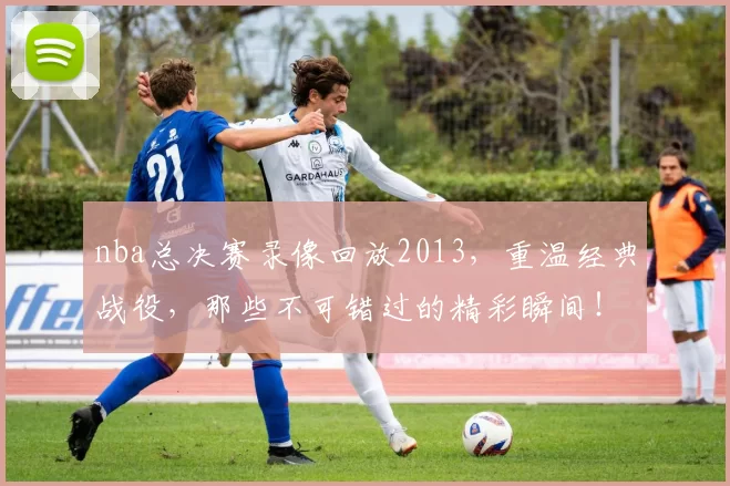 nba总决赛录像回放2013，重温经典战役，那些不可错过的精彩瞬间！