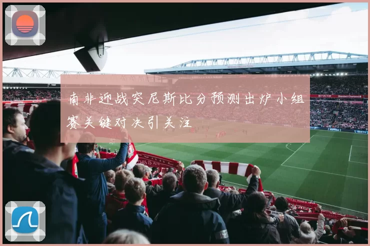 南非迎战突尼斯比分预测出炉小组赛关键对决引关注